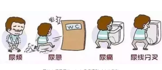 滄州男性的前列炎哪看好？保養(yǎng)前列腺的方法(圖1)